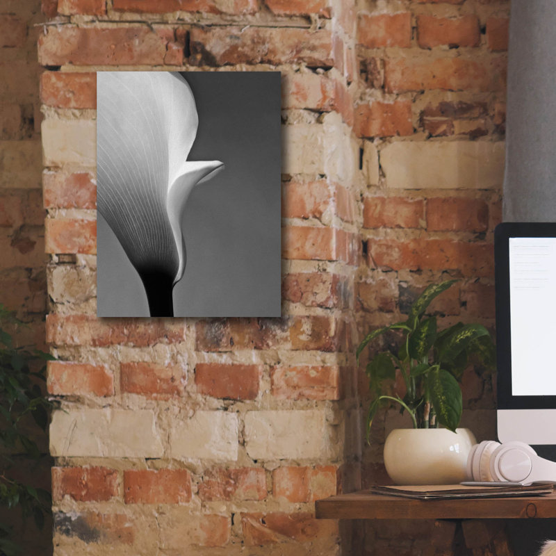 «Calla No. 5» par PhotoINC Studio, H 16 po x l 12 po x P 0,75 po