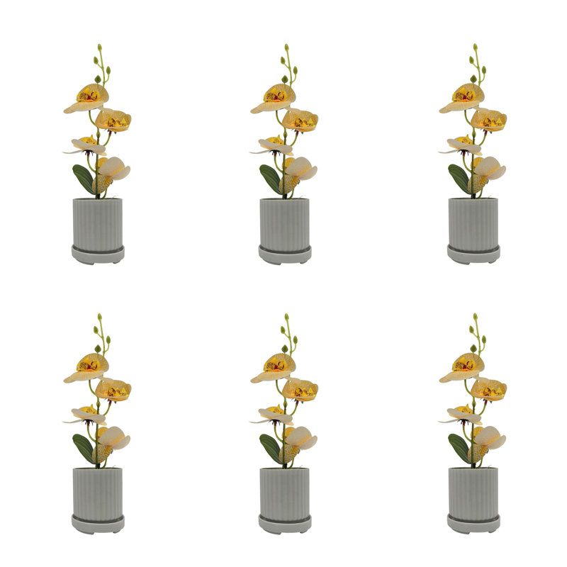 Nastashia Table Vase