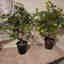 Photos des clients 1 de 1