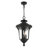 Arelene Outdoor Pendant-600369744-555065148