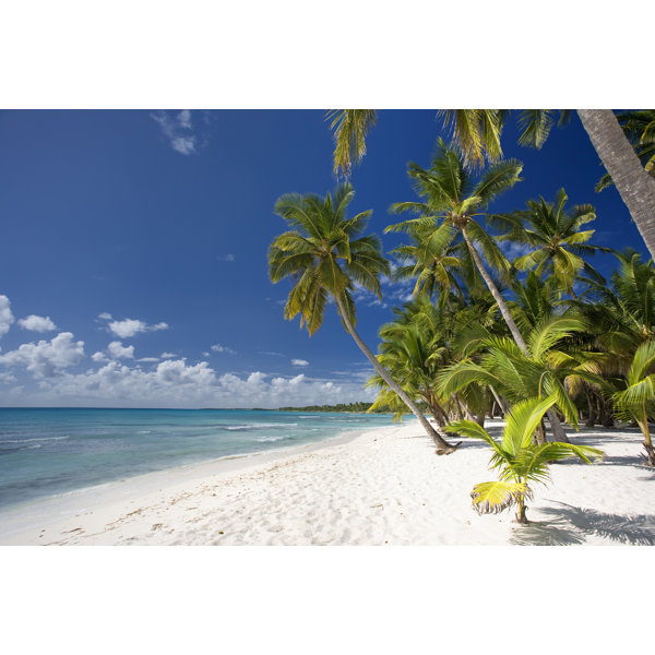 Highland Dunes White Beach On Canvas by Johnkellerman Print | Wayfair