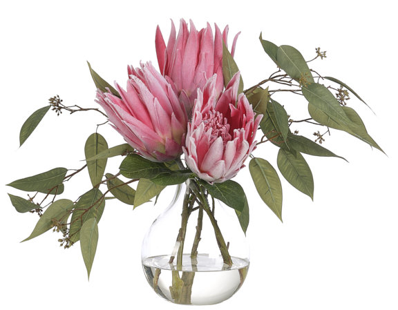 Protea, Pink, Glass Vase, 22wx12dx15h