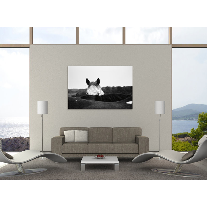 Flirt by Aledanda - Wrapped Canvas Photograph, 24" H x 36" W x 1.5" D