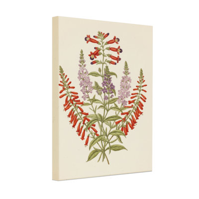 Arrangement floral de plantes et de fleurs avec des fleurs rouges et mauves