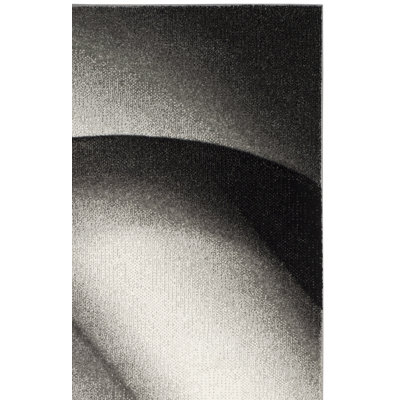 Vilica Performance Abstract Rug