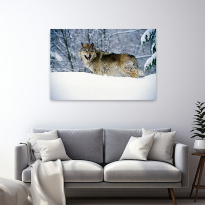 Gray Wolf In Snow Montana Usa. Abstract Contemporary Wolf Animal Nature Art