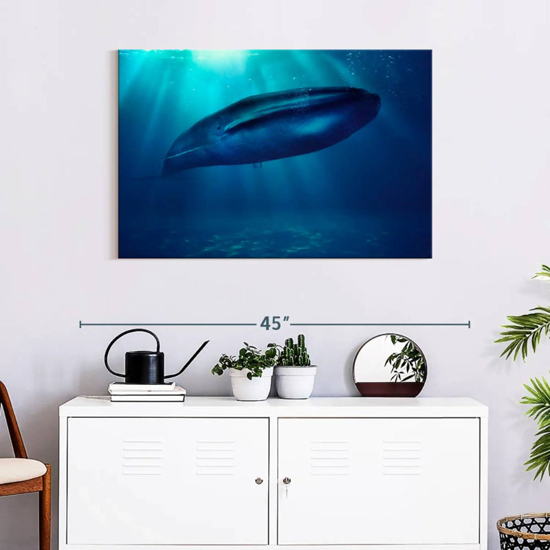 Brampt Blue Whale Underwater, 24'' H x 36'' W