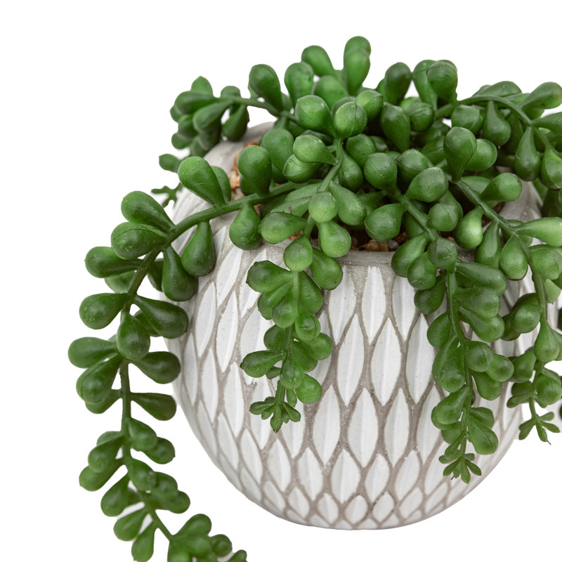 Small Succulents Ceramic Pots
