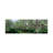 View Of Spring Blossoms On Cherry Trees - Wrapped Canvas Panoramic Print-756729756