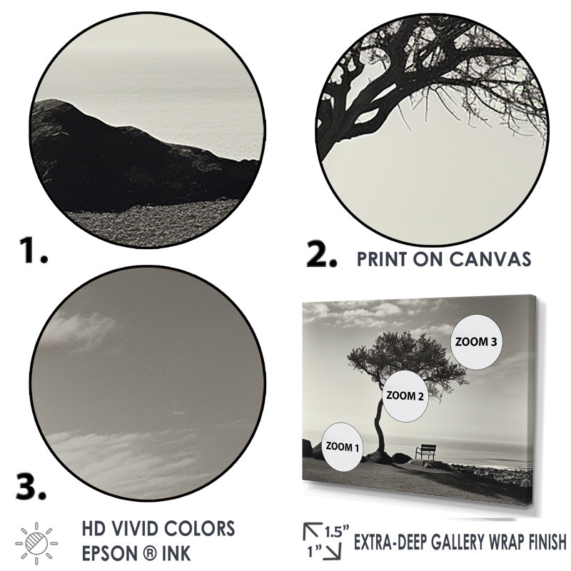 Arbre de solitude noir et blanc avec horizon côtier, Cadre flottant blanc, H 34 po x l 44 po x P 1,5 po