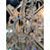 Pena 15 - Light Chandelier