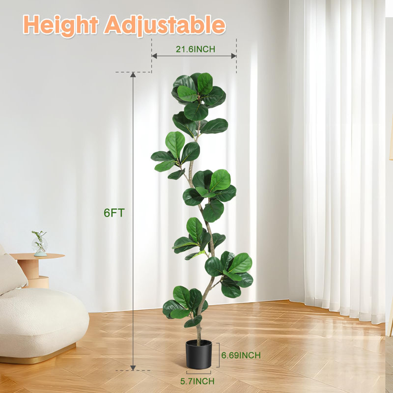 183cm Plant