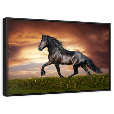 Cheval baroque