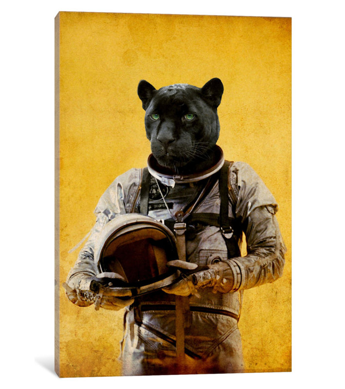 « space jag », impression sur toile, H 26 po x l 18 po x P 1,5 po, Toile encadrée noire, Pas de tapis