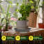 10 po Soucoupes pour plantes robustes en plastique (paquet de 6)-1146647296-1146336222