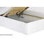 Dianna Upholstered Faux Leather Lift Up Storage Ottoman Bed with Mattress-669917154-669917157-670604847