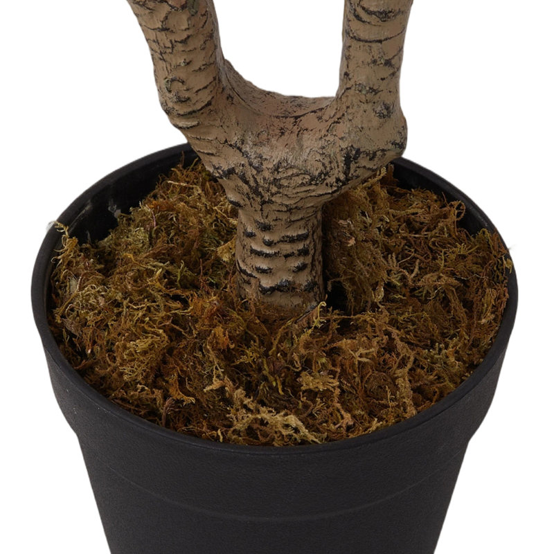 105cm Faux Wintersweet Plant in Planter