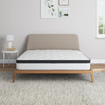 Wayfair Sleep 8" Medium Euro Top Innerspring Mattress