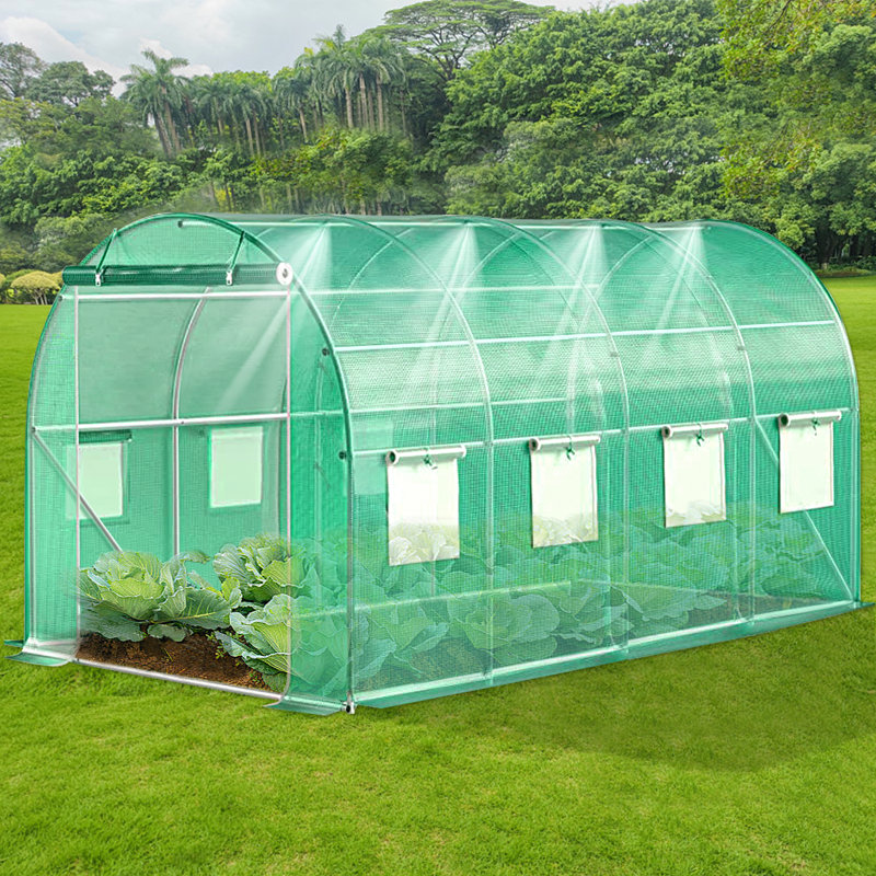 Serre plusieurs tailles, Vert, L 120 po x P 240 po x H 80 po