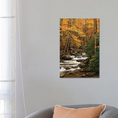États-Unis, Tennesse. Feuillage d'automne le long d'un ruisseau dans les Smoky Mountains. par Joanne Wells - Photographie sur toile tendue