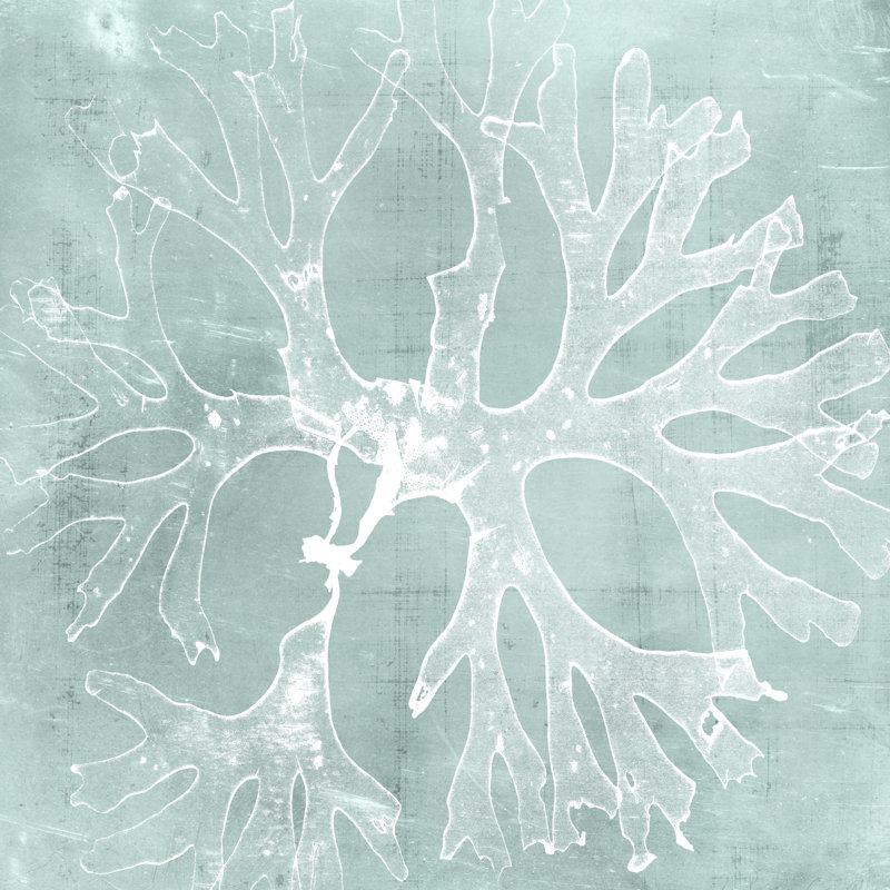 Seaweed On Aqua III - Wrapped Canvas Painting, 30cm H x 30cm W x 3.8cm D