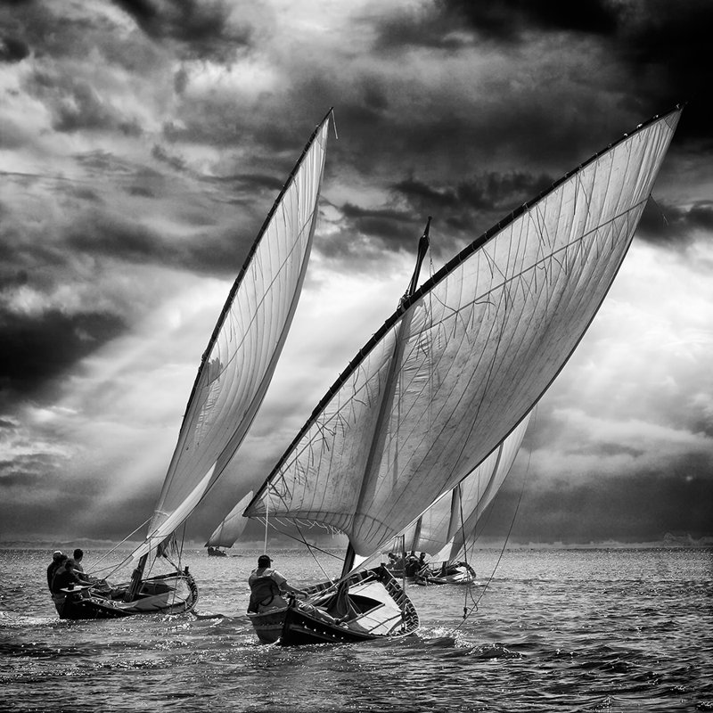 Wrapped Canvas Print, 50.8 cm H x 50.8 cm W