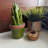 Landscape & Nature Figurines & Sculptures