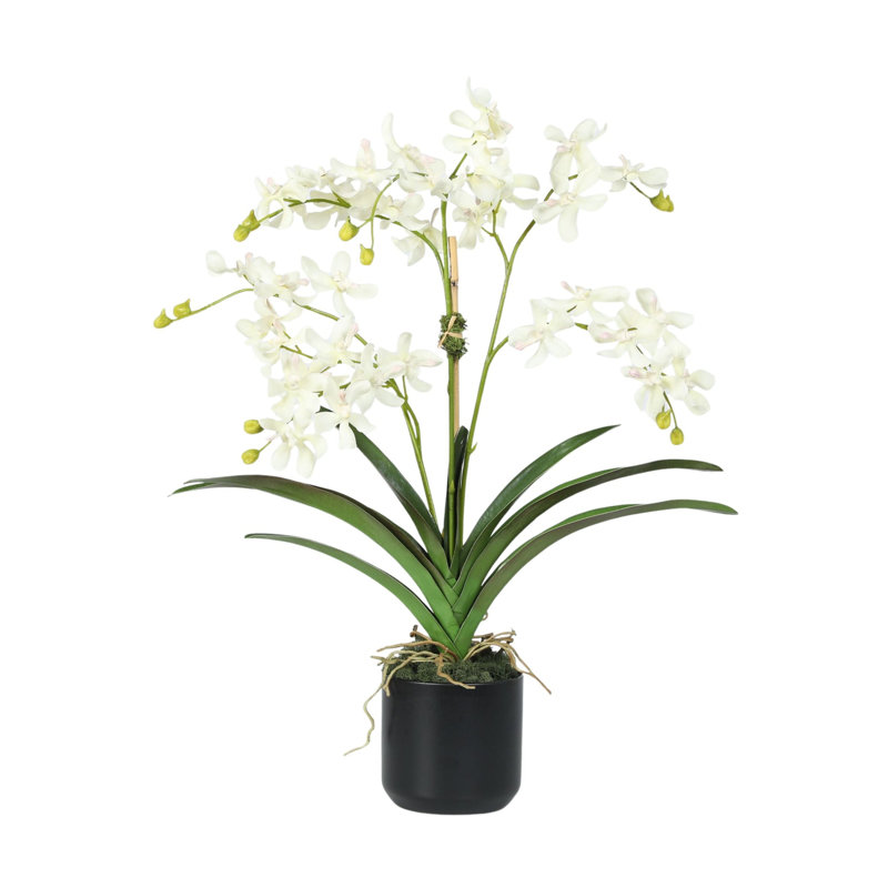 Arrangement d'orchidées en pot Polysilk, Blanc, Noir