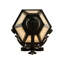 1 - Light Armed Sconce