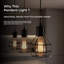 3 - Light Caged Pendant-1571133392