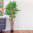 72'' Faux Olive Tree Tree in Pot