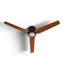 Goren 56'' 3 Blade Ceiling Fan with LED Light Kit-681247741