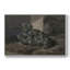 Botanique rétro - XL III-2088248367-2088248403