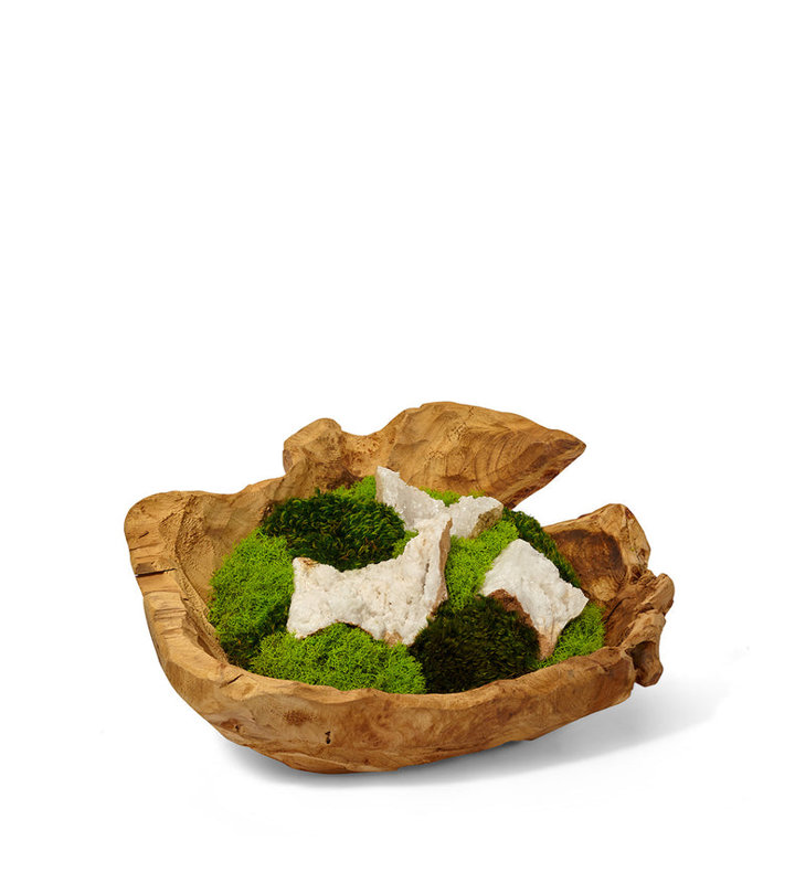 Moss Plant in Wood Planter