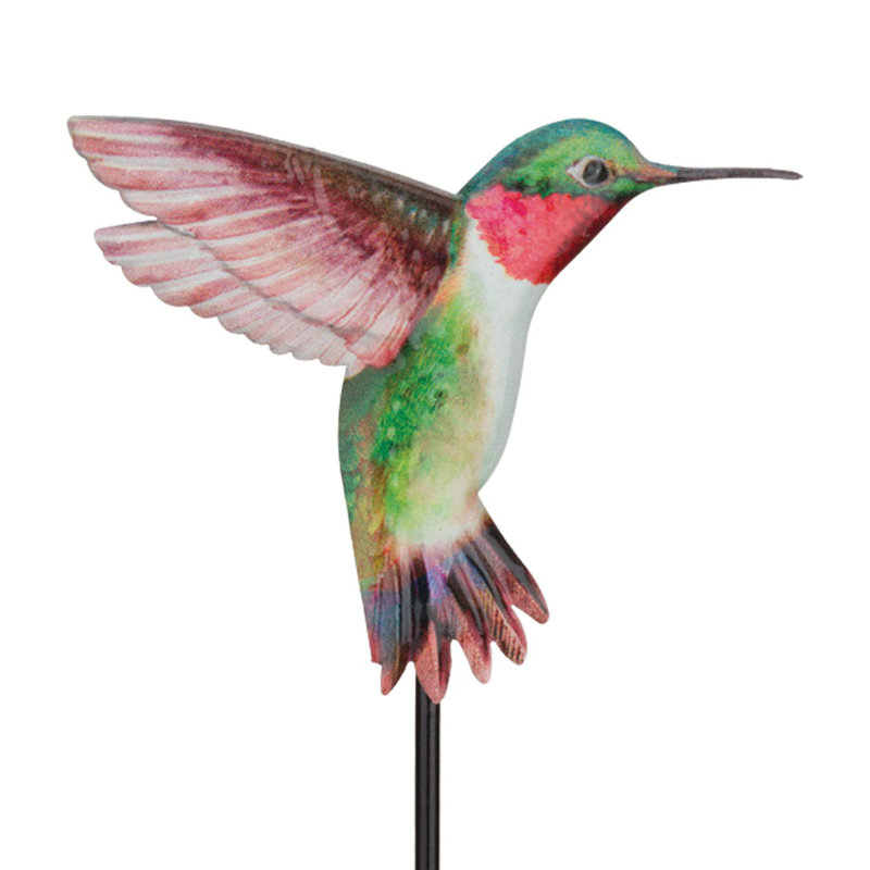 Ensemble de 2 plantes à colibri
