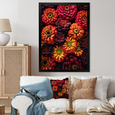 Zinnia orange, rose et fleurs