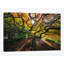 «Tentacles and Sun, Seattle, Washington I», reproduction de photo sur toile-29680846-74392200-74392201