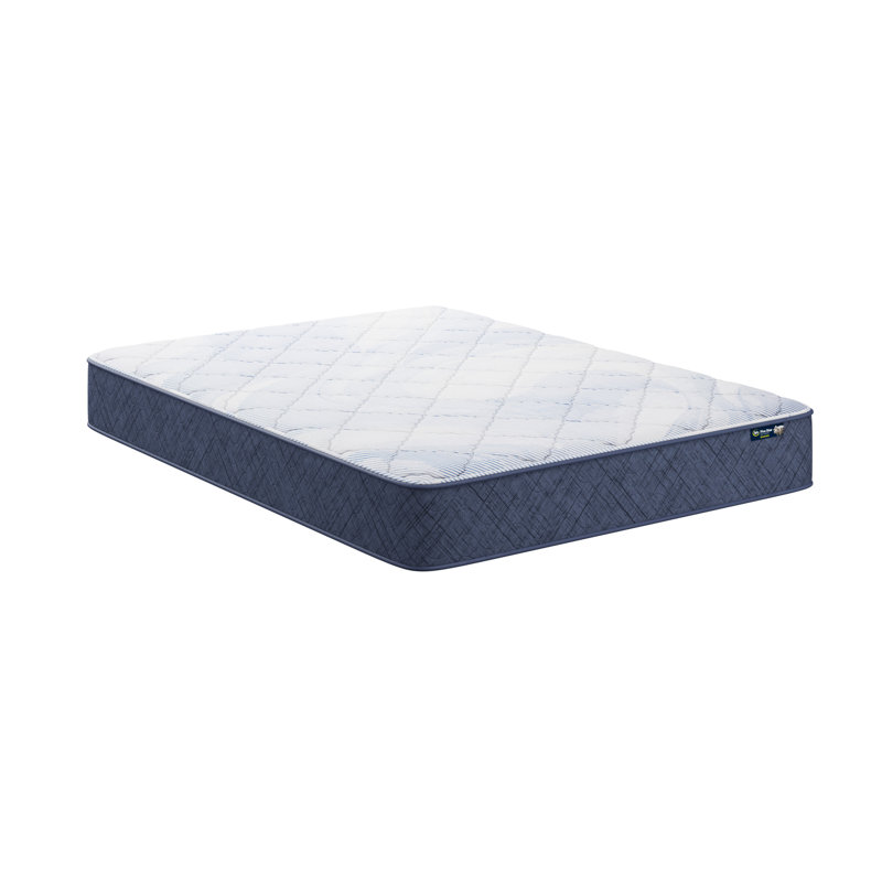 Serta Five Star Mattress Sleep to Go Medium Mattress in a Box, Twin, 10"