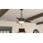 Pro's Best 52" 5 - Blade Ceiling Fan with Pull Chain and Light Kit Included-12031373