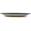 Stoneware Dinner Plate