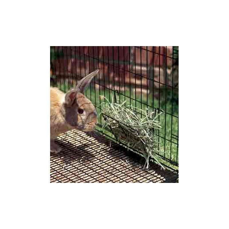 Small Animal