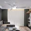 Adreana 132cm Ceiling Fan with LED Lights