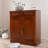 Modern simple storage shoe cabinet