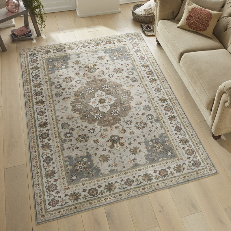 Traditional Mocha Washable/Stain Guarded Area Rug , Rectangle 200 x 300 cm