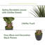 48'' Faux Agave Plant in Pot