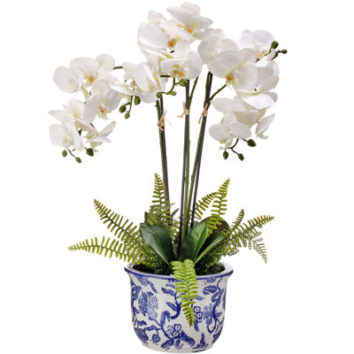 Orchid Arrangement in Chinoiserie Pot