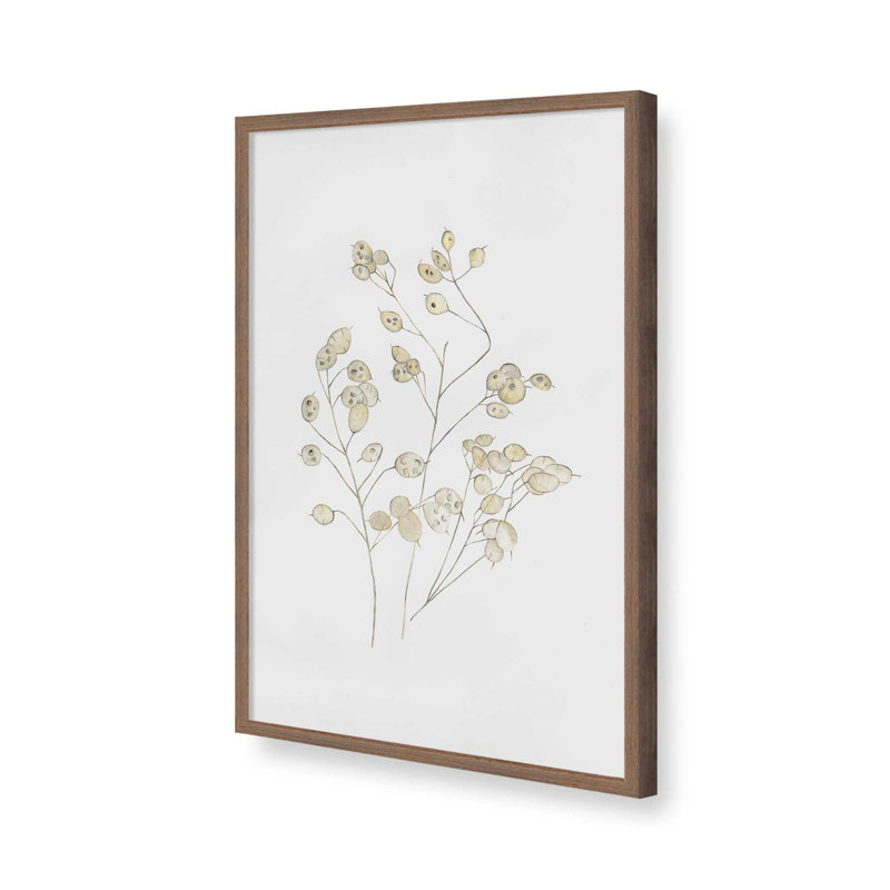 Estampe Lunaria in Stillness par Dollybirds, H 13,25 po x l 9,25 po, Reproduction avec cadre en noyer