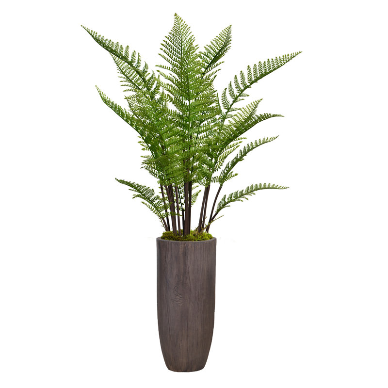 Panama 28 " H Faux Fern Tree in Fiberstone Planter