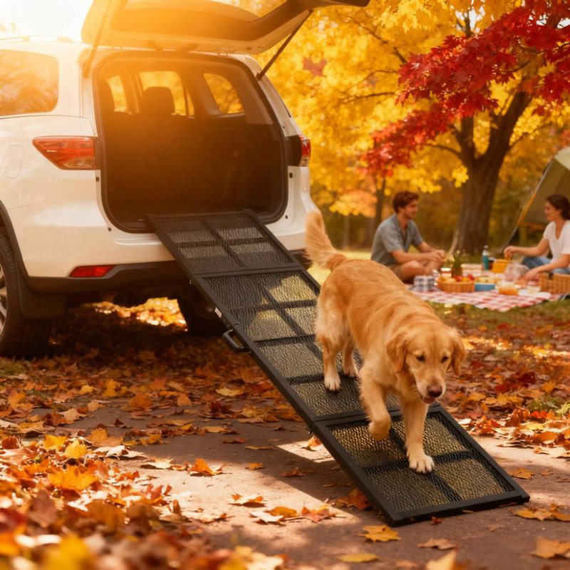 Rampe pliante pour chien