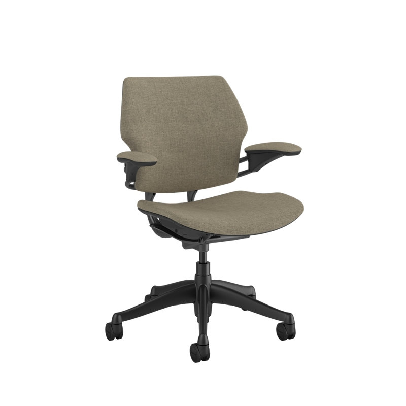 Freedom Ergonomic Task Chair - Guest, Graphite, Beige - 25